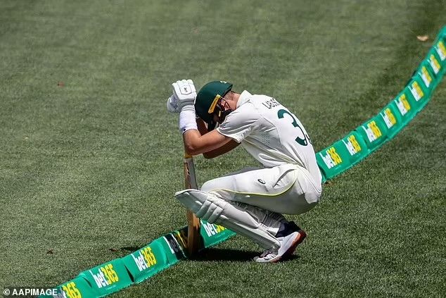 How Popular Is Cricket Betting In Australia